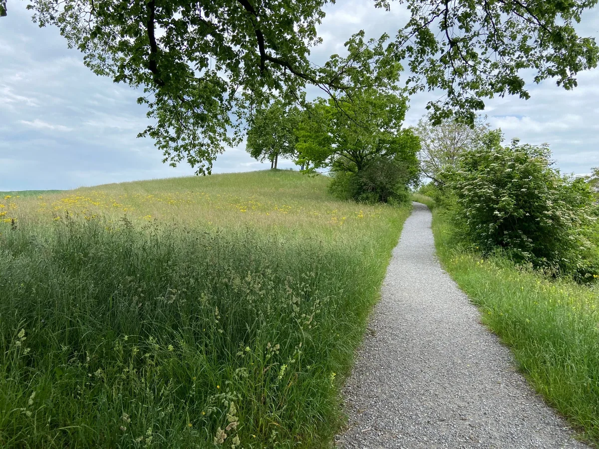 Ein Pfad, der einen Hügel hochführt.